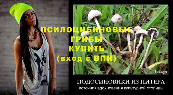 твердый Армянск