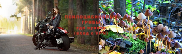 твердый Армянск