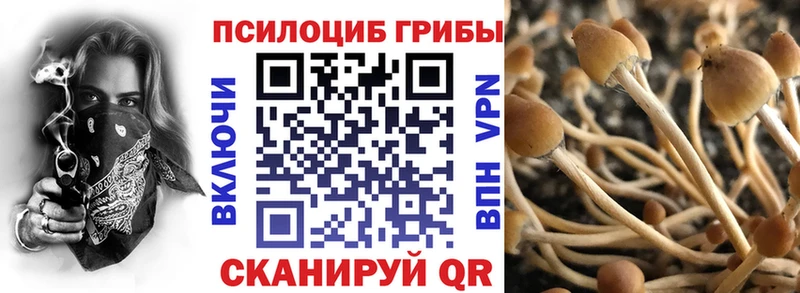 Псилоцибиновые грибы Cubensis  OMG ссылки  Луга 